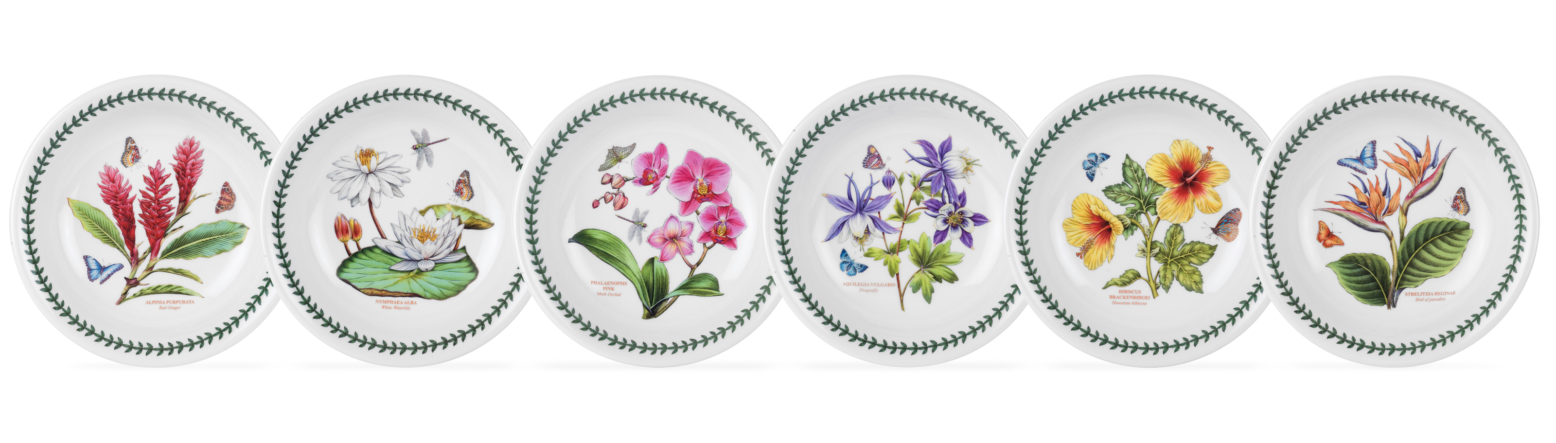 Exotic Botanic Garden Set of 6 Pasta Bowls image number null